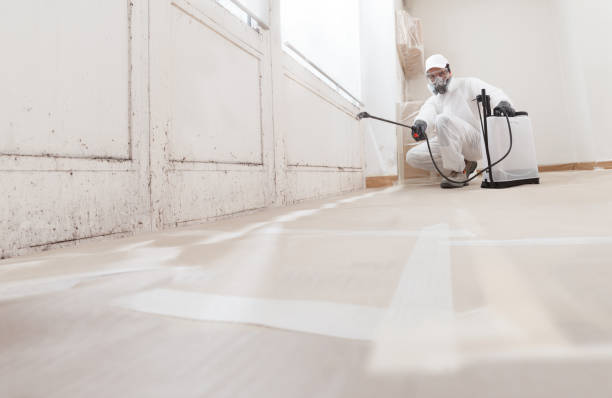 24/7 Emergency Mold Remediation experts in Garden City, MI