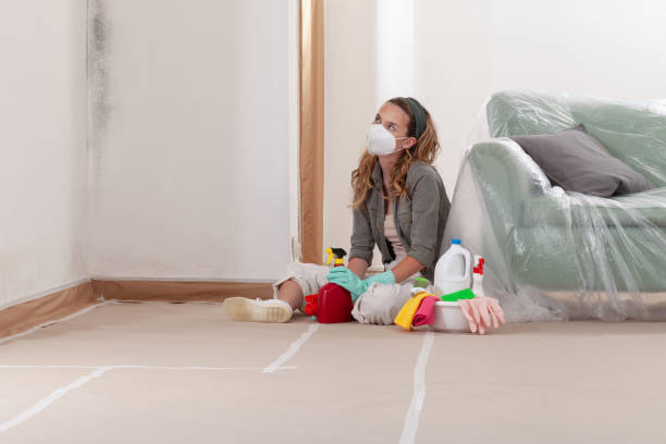 Reliable Mold Remediation contractor in Garden City, MI by Mold Remediation HQ
